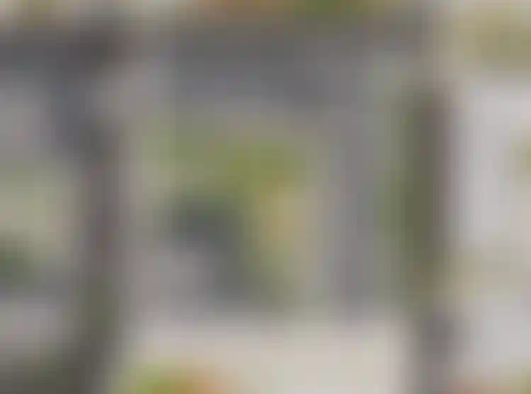 Изображение вида из окна