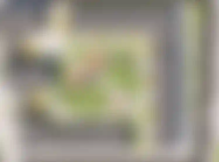 Изображение вида из окна