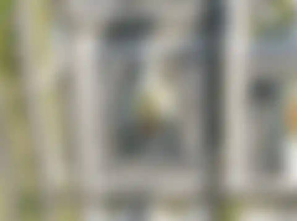 Изображение вида из окна