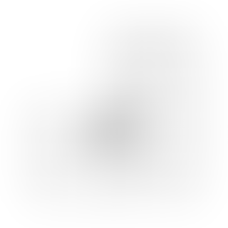 Изображение карточки лота