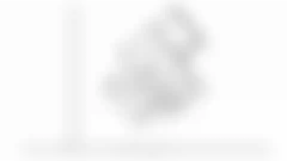 Изображение карточки лота