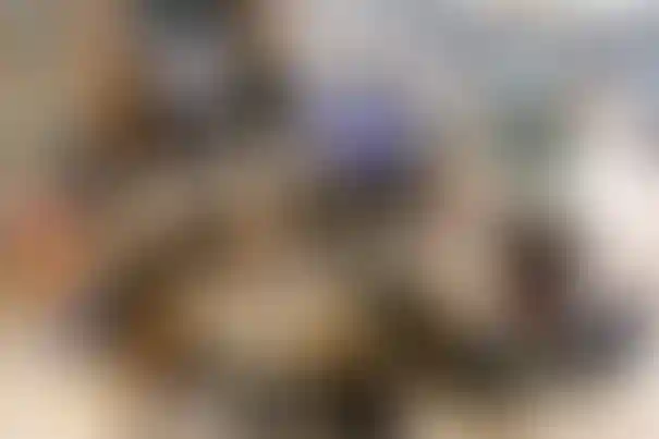 Слайд галереи