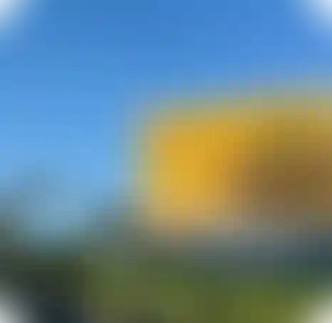 Районные мероприятия