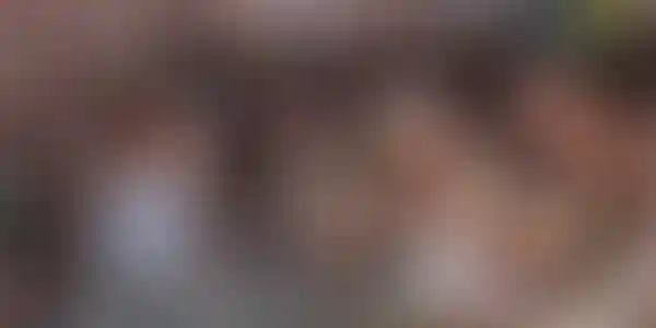 Районы на кухне