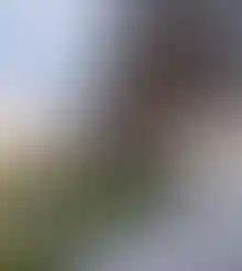 Топ-5 Москвы