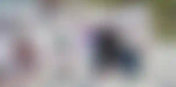 Проект «Посоветуй»