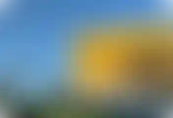 Районные мероприятия