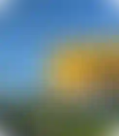 Районные мероприятия