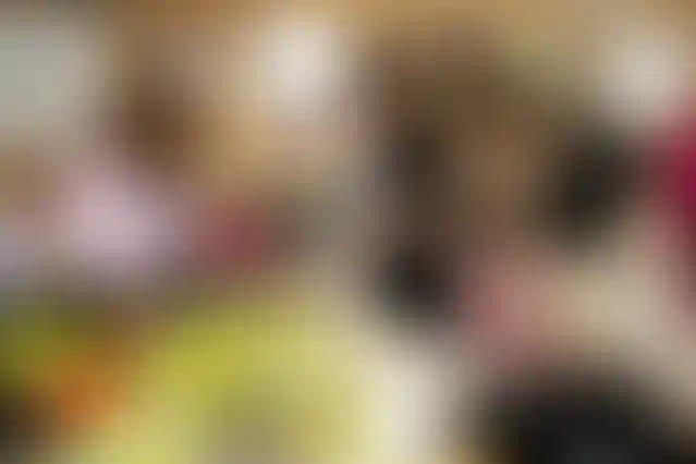 Изображение галереи