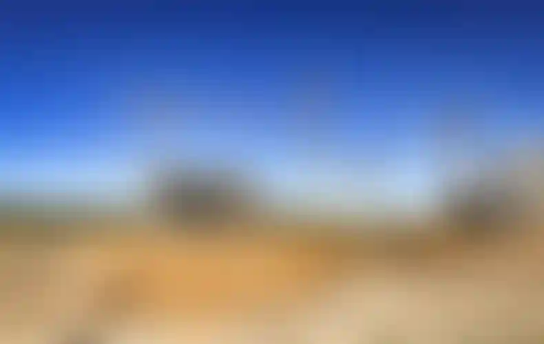 Изображение галереи