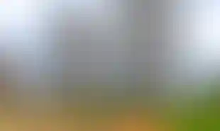 Изображение галереи