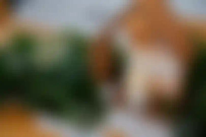 Изображение галереи