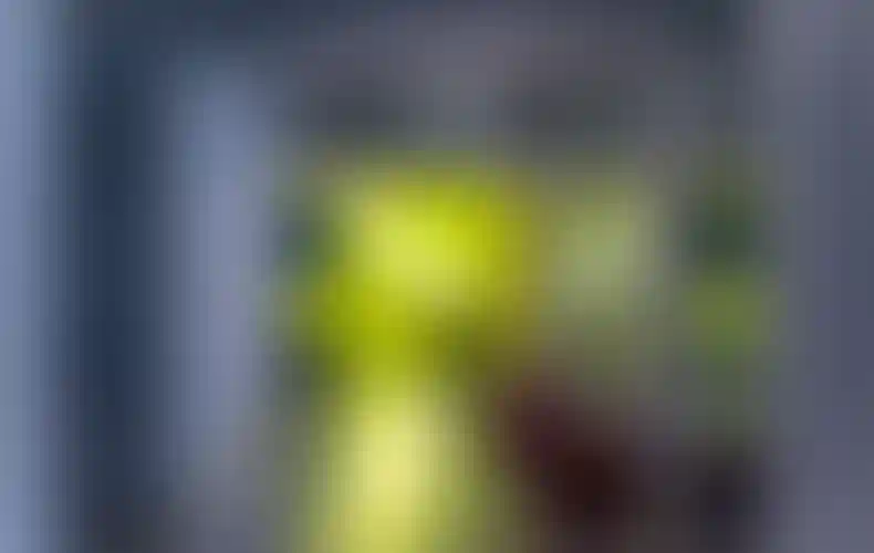 Изображение галереи