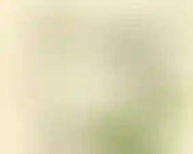 Изображение галереи