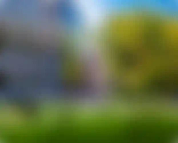 Изображение галереи