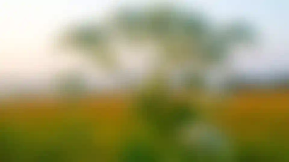 Изображение галереи