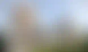 Изображение галереи