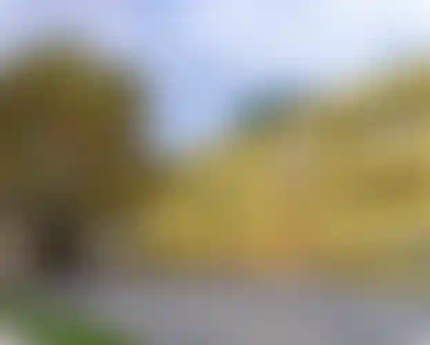 Изображение галереи