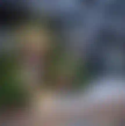 Изображение галереи