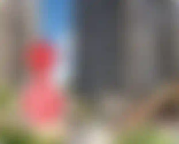 Изображение галереи