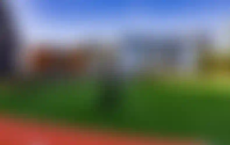 Изображение галереи