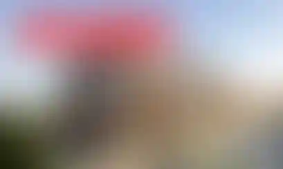 Изображение галереи