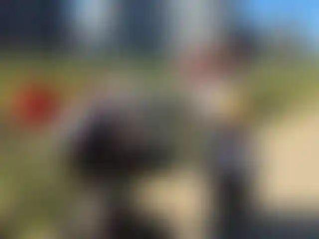 Изображение галереи