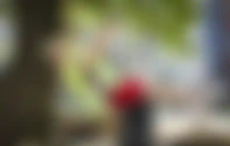 Изображение галереи