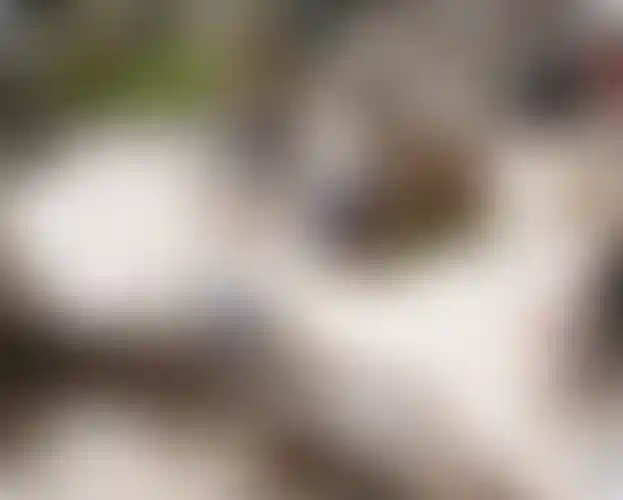 Изображение галереи