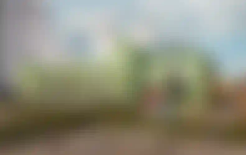 Изображение галереи