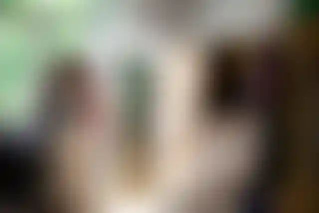 Изображение галереи