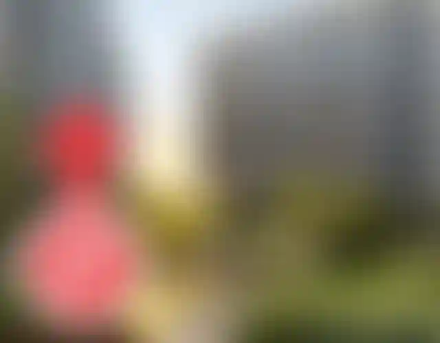 Изображение галереи