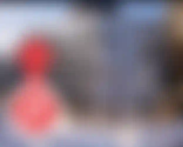 Изображение галереи