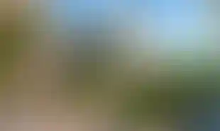 Изображение галереи