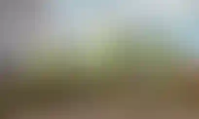 Изображение галереи