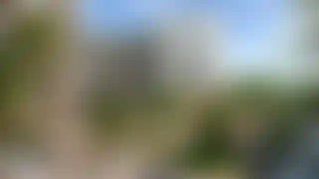 Изображение галереи