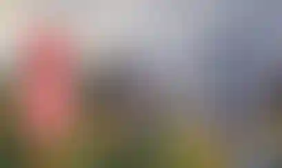 Изображение галереи