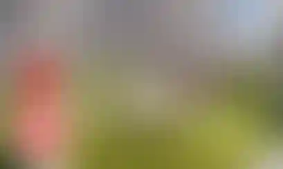 Изображение галереи