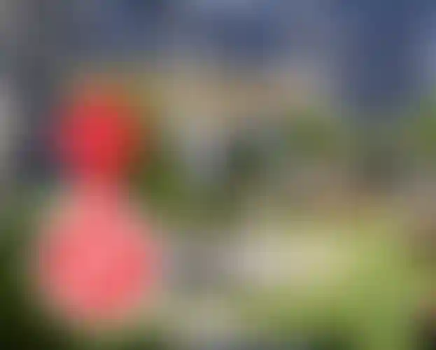 Изображение галереи