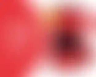 Изображение галереи