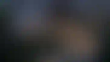 Изображение галереи