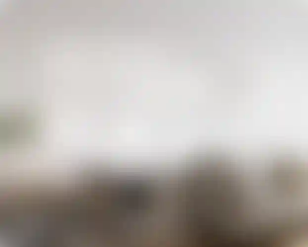 Изображение галереи