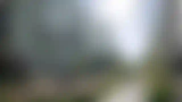 Изображение галереи