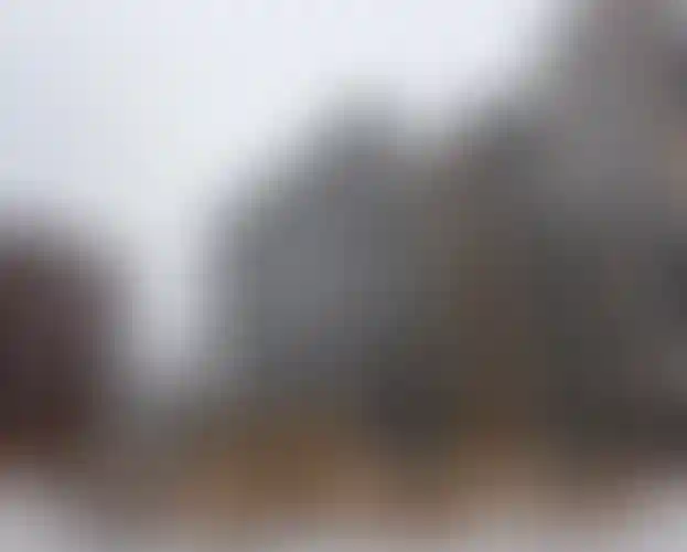 Изображение слайда