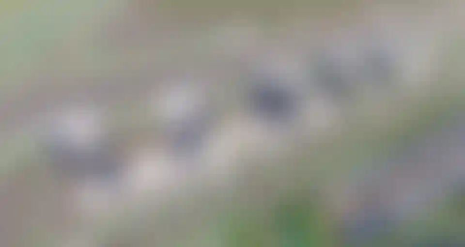 Изображение галереи