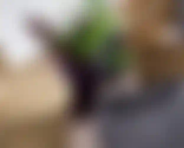 Изображение галереи