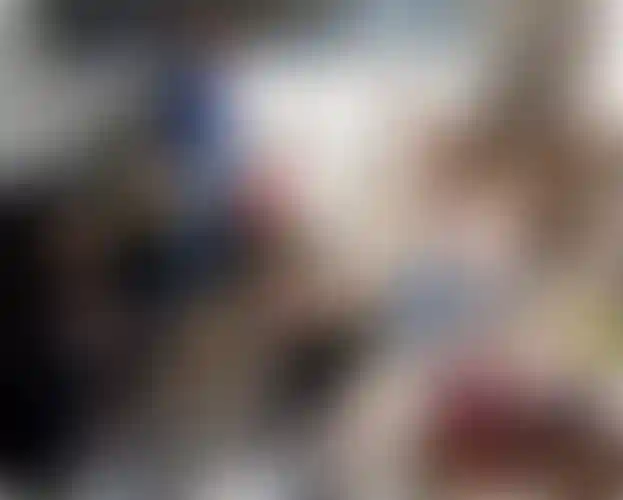 Изображение галереи