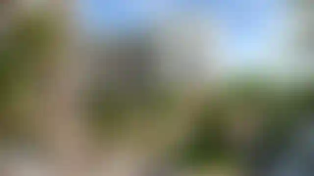Изображение галереи