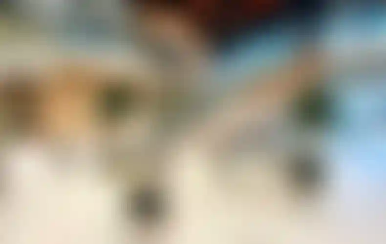 Изображение галереи