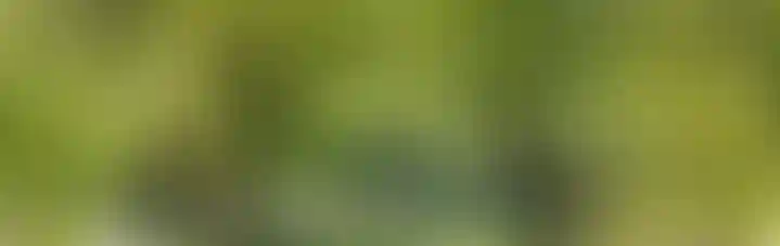 Изображение галереи